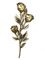 Bronze- Farb-Begräbnis- Zusätze kleine Plastik-Rose für Sarg und Schatullen